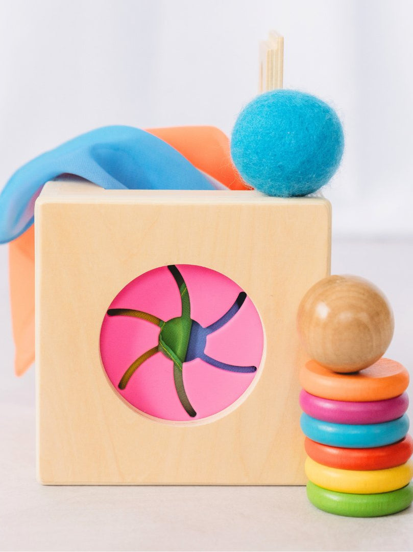 The Totli Box - Totli